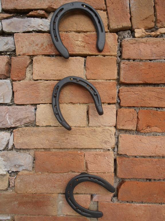 فيلا Giano dellʼUmbriaفي Agriturismo Rustichino المظهر الخارجي الصورة